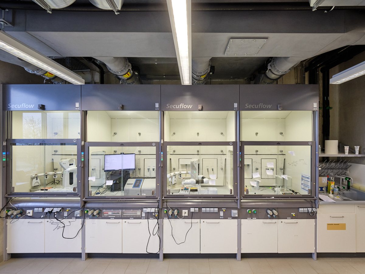 Have a Look at Our New&nbsp;Lab!