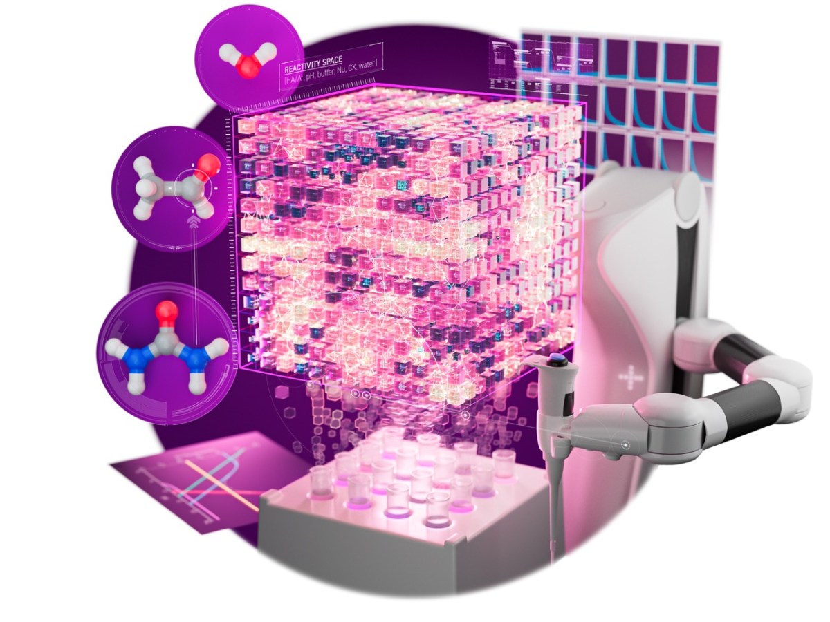 New publication in Angewandte Chemie&nbsp;Novit